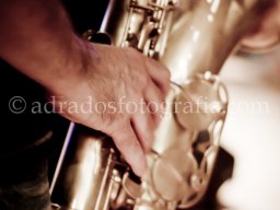 PASE BARBWIRE (14 de 22)